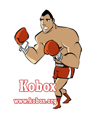 kobox_boxeadorgif