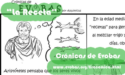 Crónicas de Evobas, "La Receta"